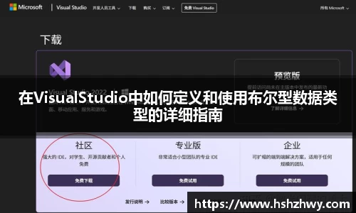 在VisualStudio中如何定义和使用布尔型数据类型的详细指南